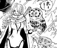 「フクロウ ONE PIECE」の画像検索結果