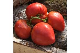 Afbeeldingsresultaat voor butter and bull heart tomato