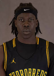 Image result for maler