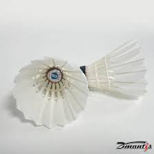 Image result for Flight Badminton Club