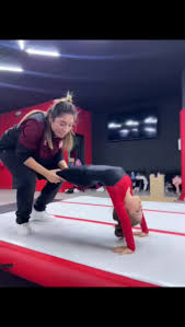 Image result for Stainsby School Of Gymnastics