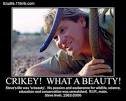 steve irwin