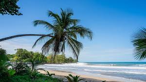 Image result for cahuita costa rica