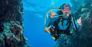Image result for Divemaster Scuba