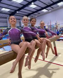 Image result for Kestrel Gymnastic Group