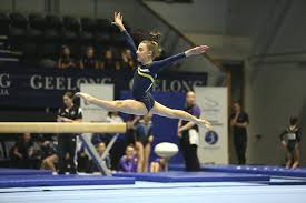 Image result for Aerodyne Gymnastics Club
