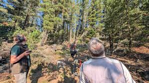 Image result for Beamish Sporting Club