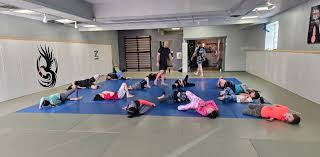 Image result for Phoenix Star Judo Club (Southwick)