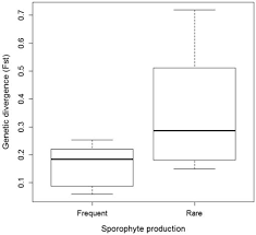 Attēlu rezultāti vaicājumam “Sanionia uncinata  sporophyte”