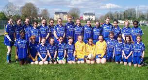 Image result for Clann Na Ngael