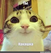 Картинки по запросу ты какашка