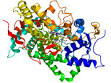 Aromatase - Wikipedia, the free encyclopedia