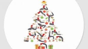 Image result for stonehaven gymnastics club