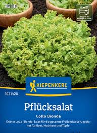 Image result for Pflücksalat