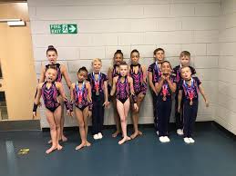 Image result for Spelthorne School Of Gymnastics