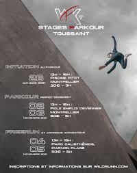 Image result for Les Voleurs Parkour Club