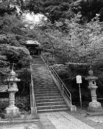 「観月真梨絵」の画像検索結果