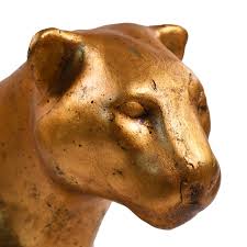 Image result for Pharaoh Gold 1981 Jaguar