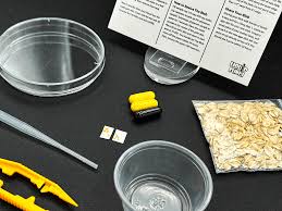 Attēlu rezultāti vaicājumam “Physarum sulphureum stalked”