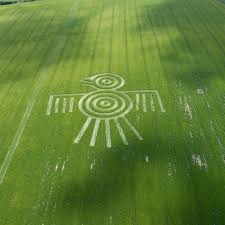 Image result for crop circles