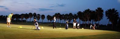 Image result for Well-Being & Leisure Team (Driving Range Session)