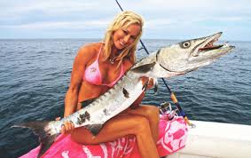 Image result for Sphyraena barracuda