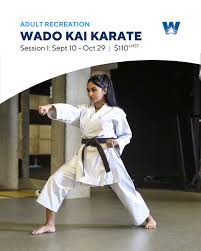 Image result for Karate Wado Kai