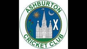 Image result for Yelverton Bohemians Cricket Club