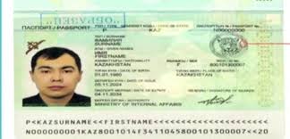 Image result for паспорт