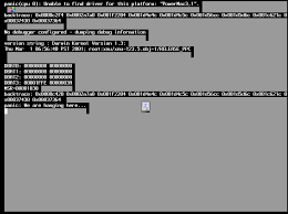 Image result for kernel panic snow leopard