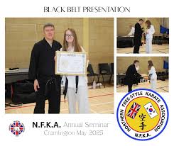 Image result for Northern Freestyle Karate Association