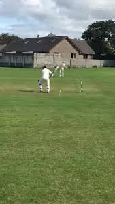Image result for Lingfield Cricket Club