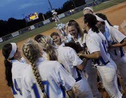 Image result for Lions Softball Club