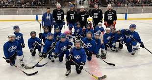 Image result for Lysander Badminton Club