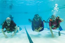 Image result for Isle of Man Swimming Club