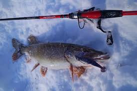 Image result for рыбалка