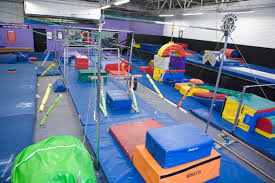 Image result for Pinewood Gymnastics Club