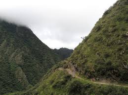 Výsledek obrázku pro yungas