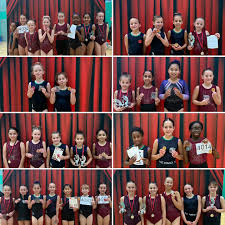 Image result for South Essex Gymnastics Club