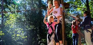 Image result for Go Ape! Alice Holt