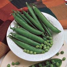 Attēlu rezultāti vaicājumam “Pisum sativum fruit”