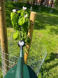 Image result for Crowcroft Park Veterans Social & Bowling Club