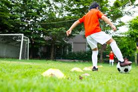 Image result for Cheshunt Bowls Club