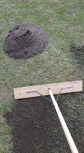 Image result for Great Chart Cricket Club