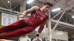 Image result for Wade Gymnastics Club