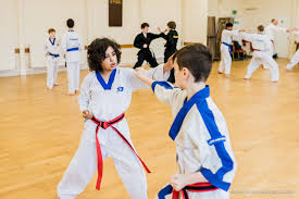 Image result for Bytomic Tae Kwon Do Beaconsfield