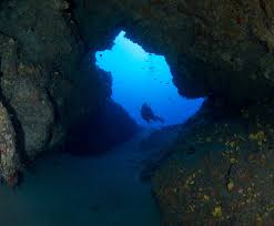 Image result for Halton Sub Aqua Club