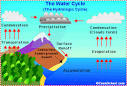 Blogs - - Revolution Health