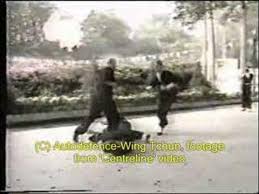 Image result for Alton Autodefence Wing Tchun