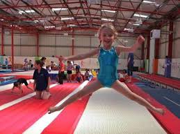 Image result for Arabian School Of Gymnastics, Milton Keynes
